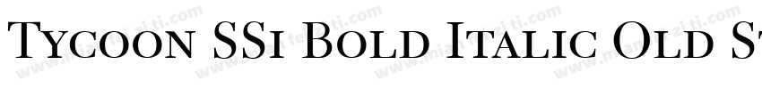 Tycoon SSi Bold Italic Old Style Figures字体转换